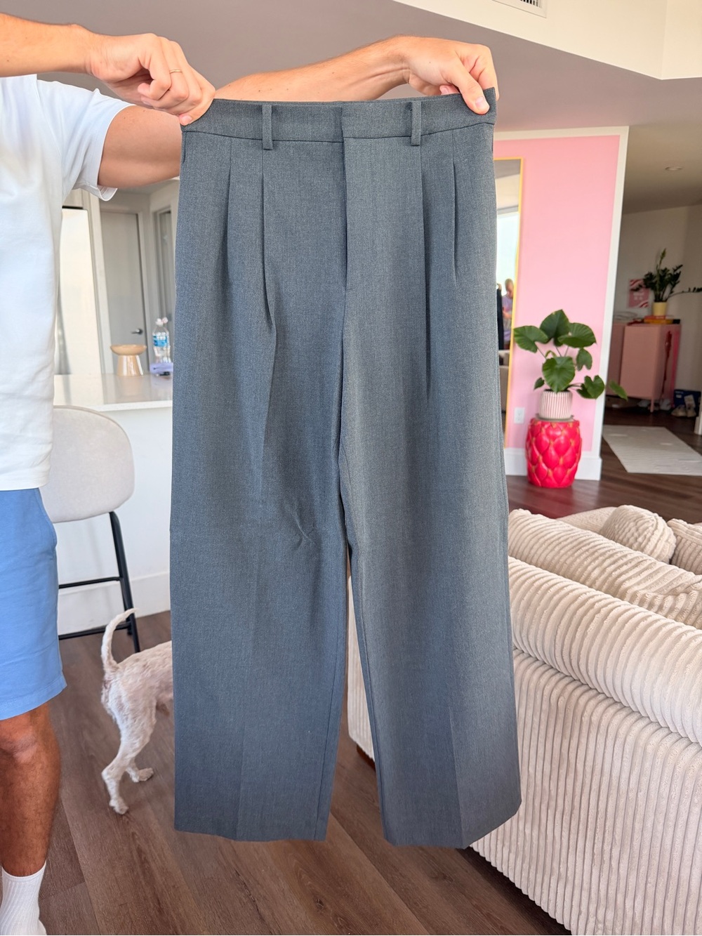 Classic Pleated Dress Pants - Gray